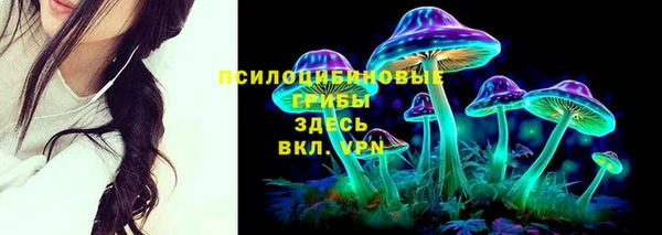 меф Алексин