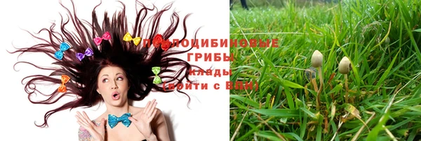 тгк Алзамай