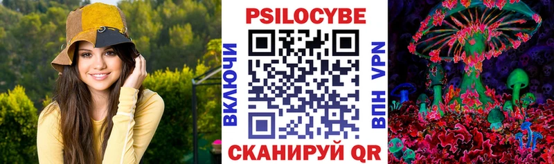 наркотики  Березники  Галлюциногенные грибы GOLDEN TEACHER 