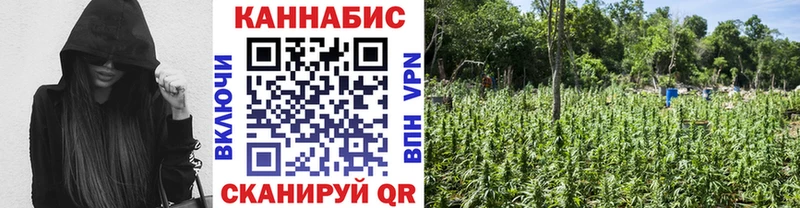 Конопля планчик Березники