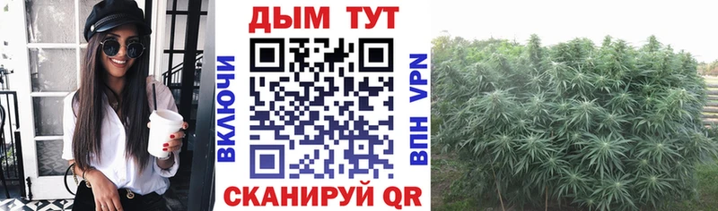 Шишки марихуана White Widow Березники